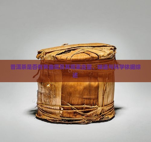 普洱茶是否有黄曲霉及其霉素含量、味道与科学依据综述