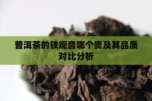 普洱茶的铁观音哪个贵及其品质对比分析