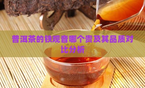 普洱茶的铁观音哪个贵及其品质对比分析