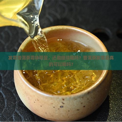 发霉普洱茶霉味明显，还能继续喝吗？普洱茶发霉后真的可以喝吗？