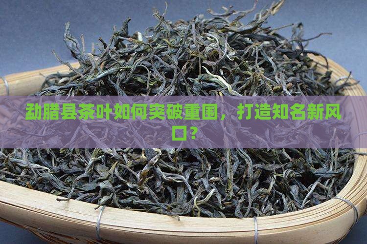 勐腊县茶叶如何突破重围，打造知名新风口？