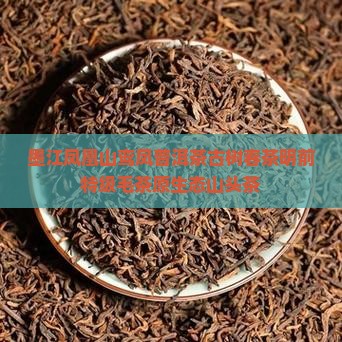 墨江凤凰山鸾凤普洱茶古树春茶明前特级毛茶原生态山头茶 墨江凤凰山鸾凤普洱茶古树春茶明前特级毛茶原生态山头茶