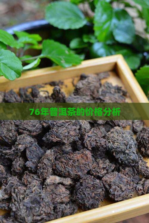 76年普洱茶的价格分析