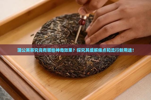 蒲公英茶究竟有哪些神奇效果？探究其缓解痛点和流行新用途！