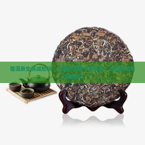 普洱茶生茶减肥吗：生茶熟茶哪个效果好，减肥有效果吗能喝吗