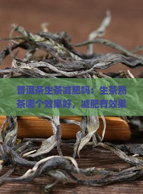 普洱茶生茶减肥吗：生茶熟茶哪个效果好，减肥有效果吗能喝吗
