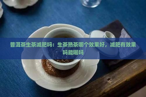 普洱茶生茶减肥吗：生茶熟茶哪个效果好，减肥有效果吗能喝吗