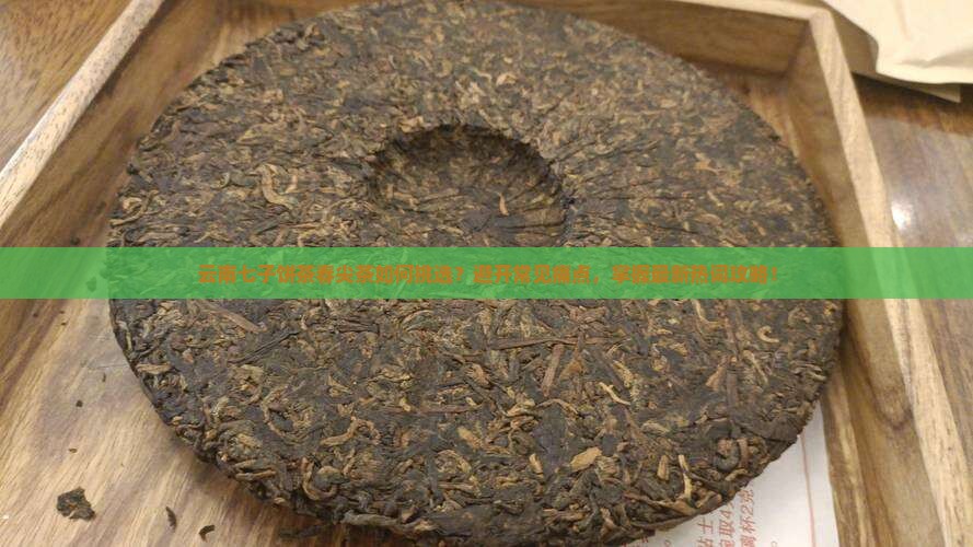 云南七子饼茶春尖茶如何挑选？避开常见痛点，掌握最新热词攻略！