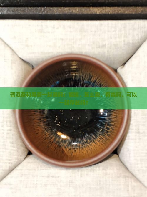普洱茶和黑茶一起泡吗：能喝、怎么泡、有毒吗、可以一起存放吗？