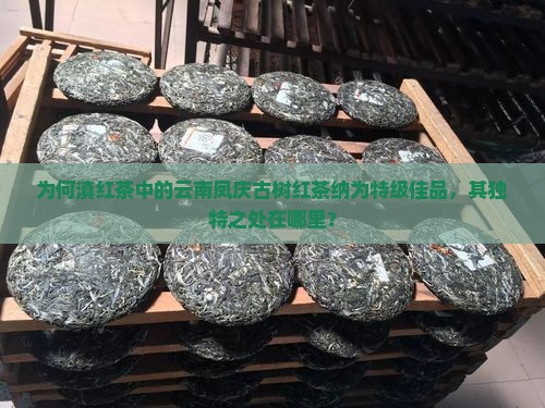 为何滇红茶中的云南凤庆古树红茶纳为特级佳品，其独特之处在哪里？