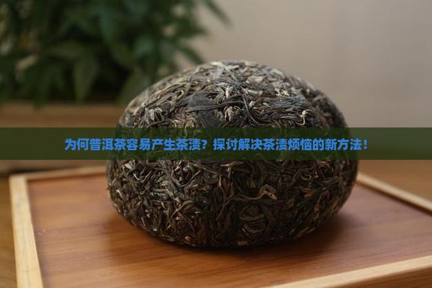 为何普洱茶容易产生茶渍？探讨解决茶渍烦恼的新方法！