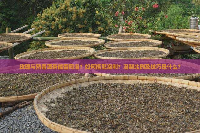 玫瑰与熟普洱茶能否同泡?如何搭配泡制?泡制比例及技巧是什么? 玫瑰与熟普洱茶能否同泡?如何搭配泡制?泡制比例及技巧是什么?