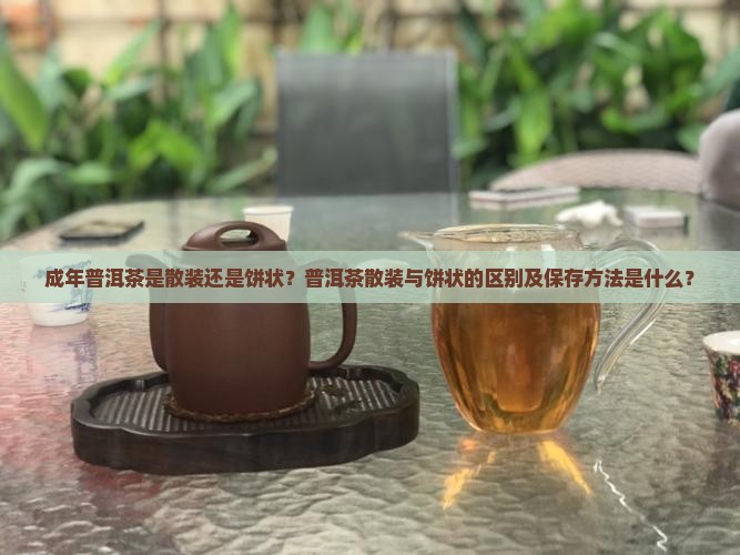 成年普洱茶是散装还是饼状？普洱茶散装与饼状的区别及保存方法是什么？