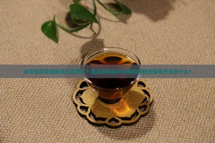 成年普洱茶是散装还是饼状？普洱茶散装与饼状的区别及保存方法是什么？