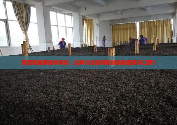 普洱茶发酵技术探究：这种方法如何影响茶的品质与口感？