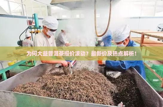 为何大益普洱茶报价波动？最新价及热点解析！