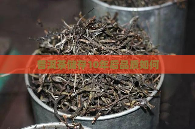 普洱茶储存10年后品质如何