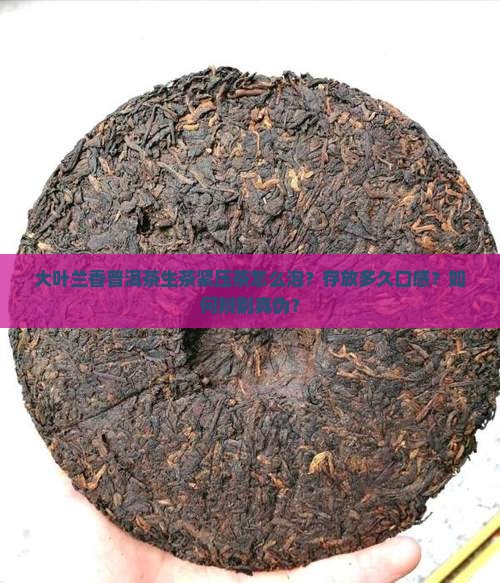 大叶兰香普洱茶生茶紧压茶怎么泡？存放多久口感？如何辨别真伪？