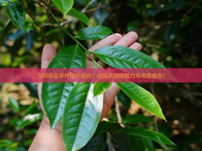 为何极品手作茶叶如此？探究其独特魅力与市场痛点！