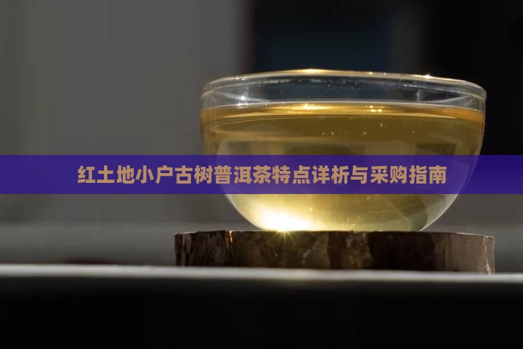 红土地小户古树普洱茶特点详析与采购指南