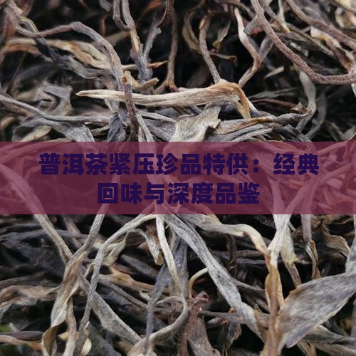 普洱茶紧压珍品特供：经典回味与深度品鉴