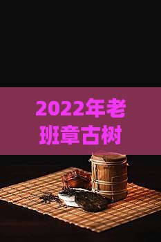 2022年老班章古树纯料春茶