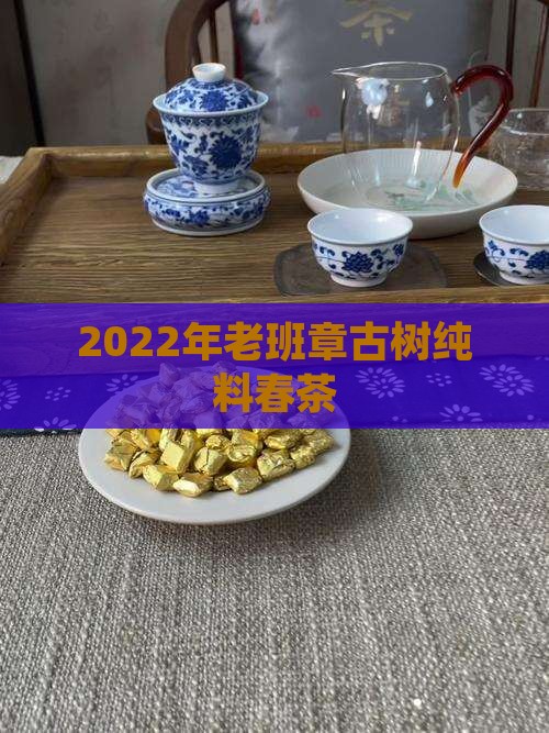 2022年老班章古树纯料春茶