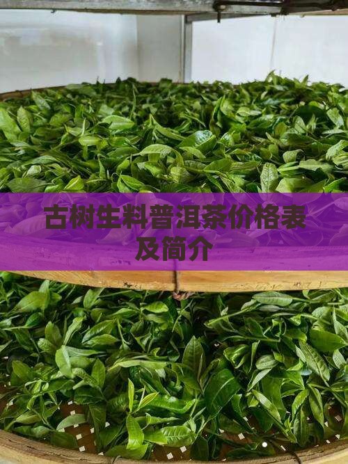 古树生料普洱茶价格表及简介