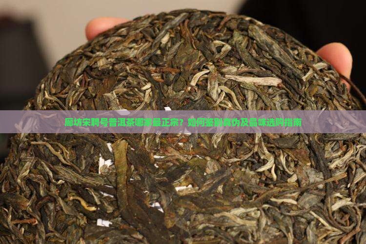 廊坊宋聘号普洱茶哪家最正宗？如何鉴别真伪及品味选购指南