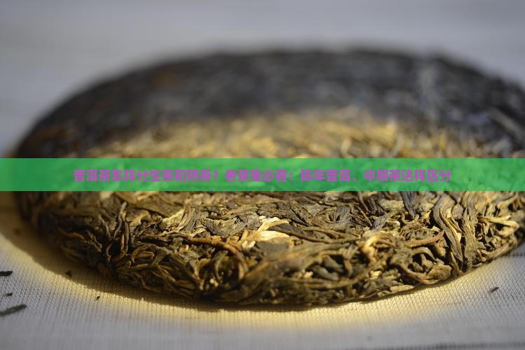 普洱茶怎样分生茶和熟茶？老茶鬼必看：陈年普洱、中期茶这样区分