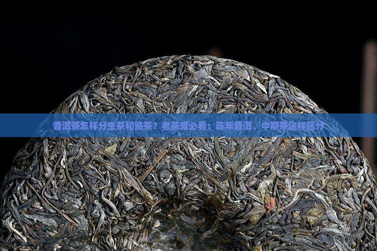 普洱茶怎样分生茶和熟茶？老茶鬼必看：陈年普洱、中期茶这样区分
