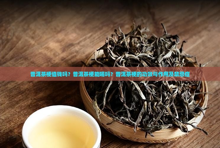 普洱茶梗值钱吗？普洱茶梗能喝吗？普洱茶梗的功效与作用及禁忌症
