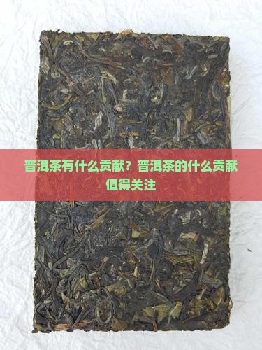 普洱茶有什么贡献？普洱茶的什么贡献值得关注