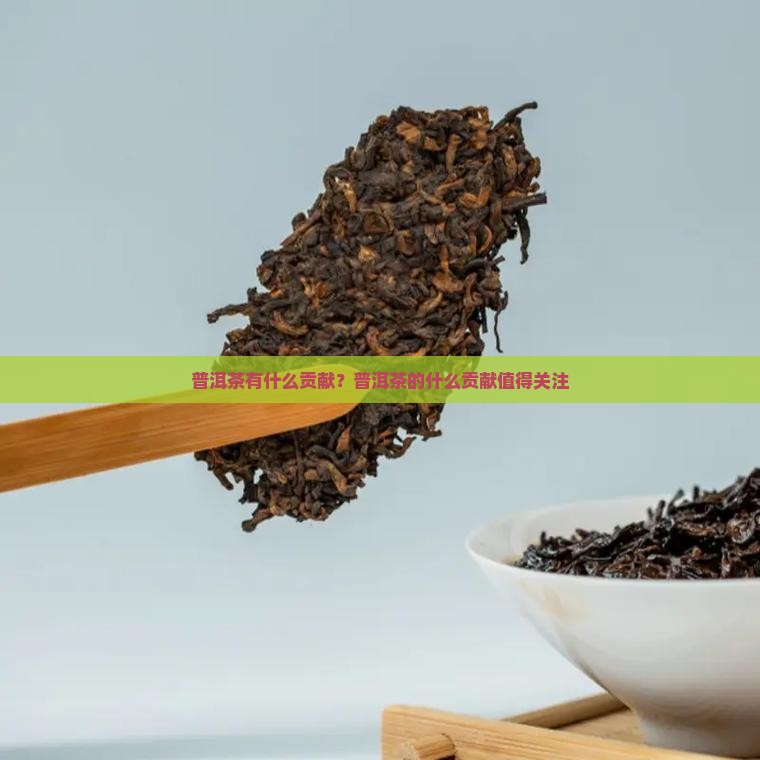 普洱茶有什么贡献？普洱茶的什么贡献值得关注