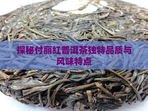 探秘付丽红普洱茶独特品质与风味特点