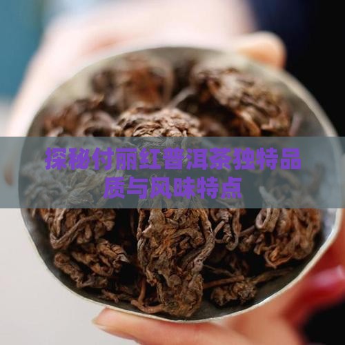 探秘付丽红普洱茶独特品质与风味特点