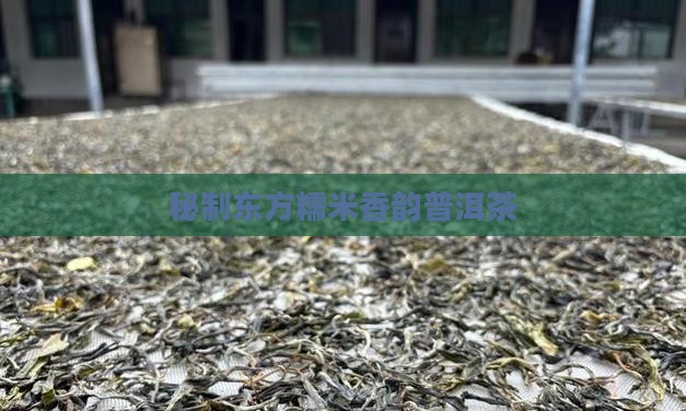 秘制东方糯米香韵普洱茶