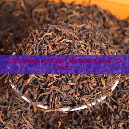 你家的普洱老树茶还够喝吗？稀缺老树茶+数字藏品，快来围观！