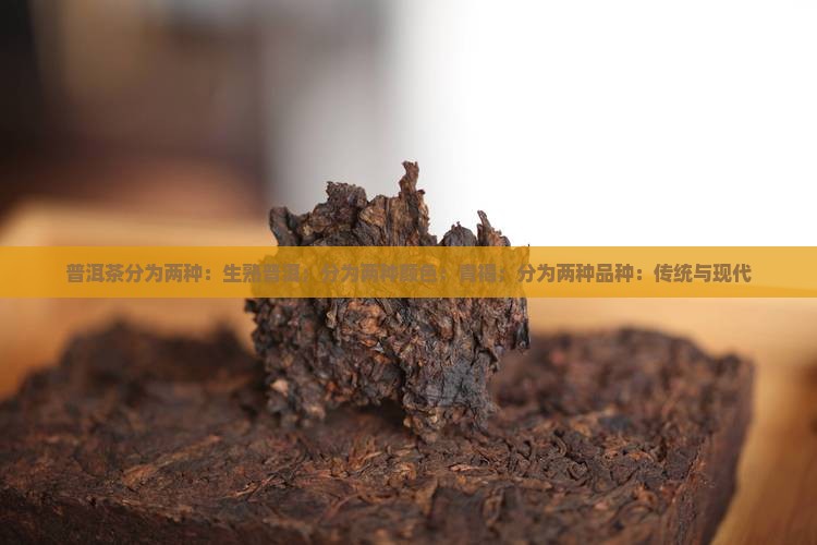 普洱茶分为两种：生熟普洱；分为两种颜色：青褐；分为两种品种：传统与现代