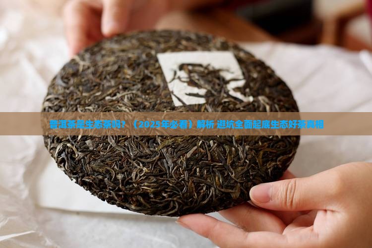 普洱茶是生态茶吗为什么