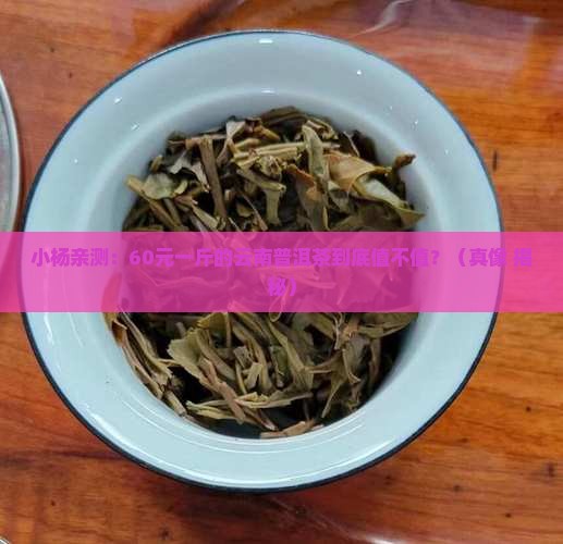 小杨推荐云南普洱茶60元一斤