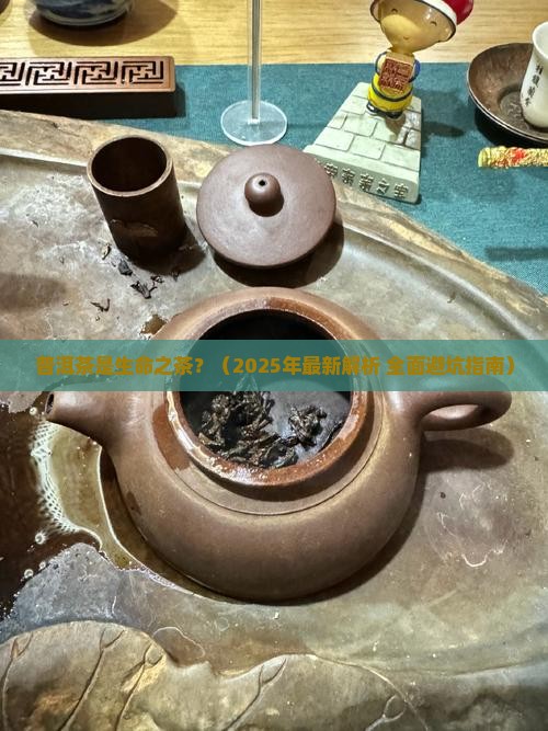 普洱茶的生命之茶