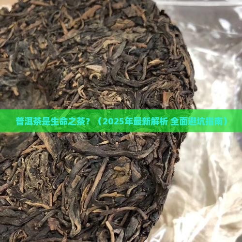 普洱茶的生命之茶