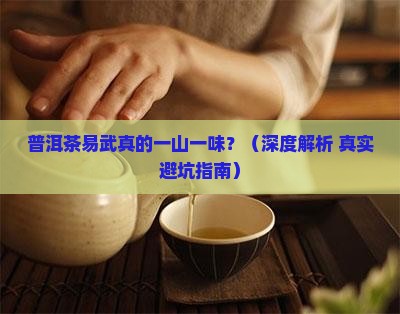 普洱茶易武一山一味的说法