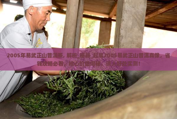 2005年易武正山普洱茶 2005年易武正山普洱茶