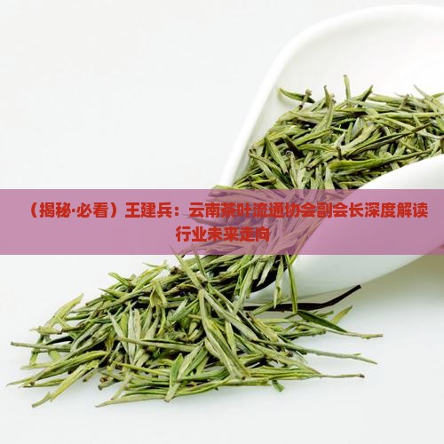 王建兵云南茶协副会长