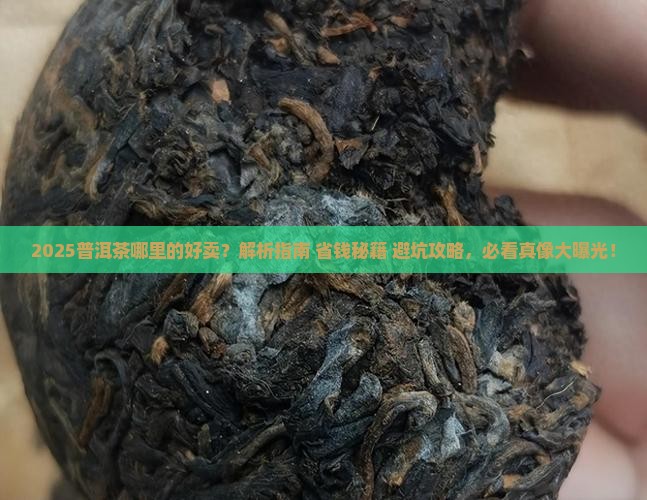 普洱茶哪里的好卖