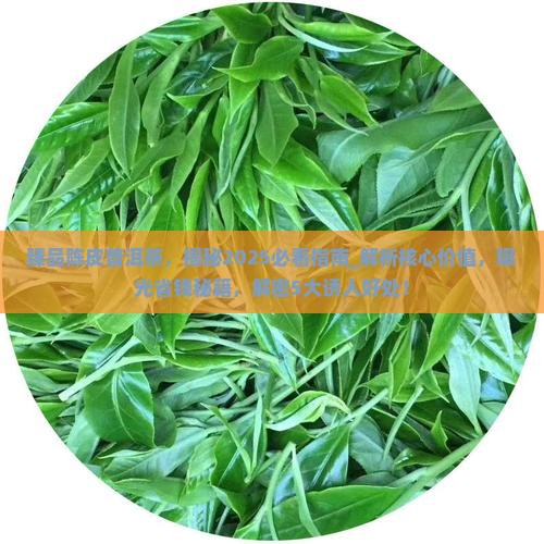 臻品陈皮普洱茶