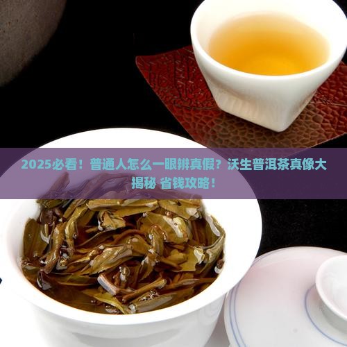 沃生普洱茶是真的吗
