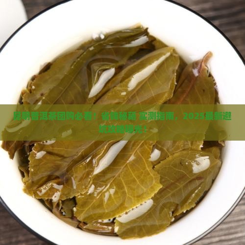 昆明普洱茶团购
